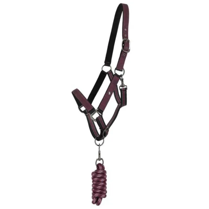 QHP Ensemble licol + longe Collection> Licol Nylon|Licol + Longe