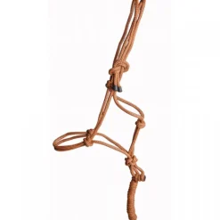 T de T Ensemble licol + longe éthologique><noscript><img data-lazyloaded=