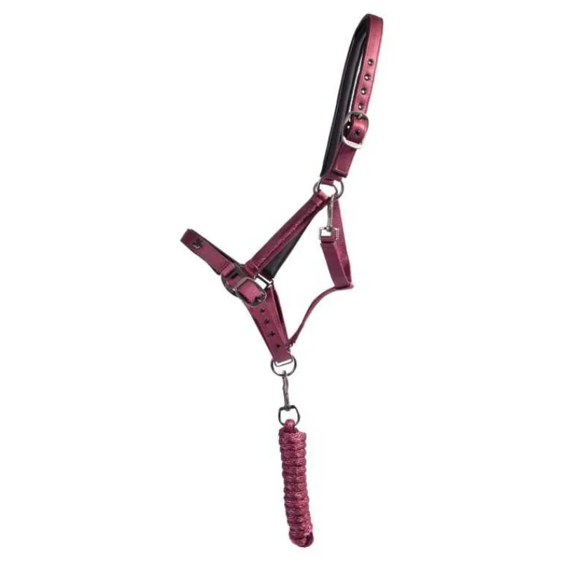 QHP Ensemble licol et longe Lily> Licol Nylon|Licol + Longe