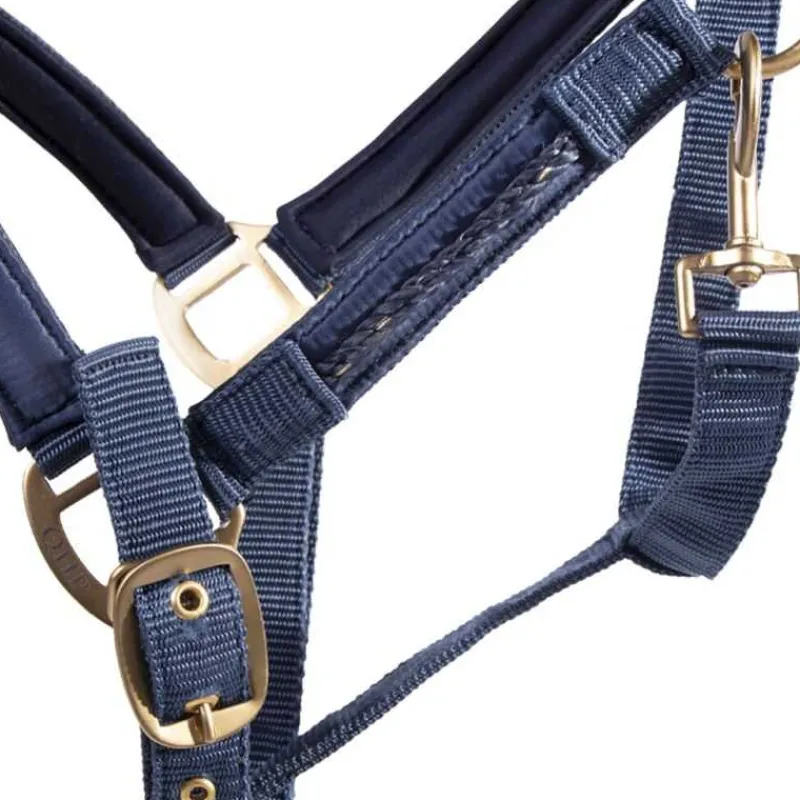 QHP Ensemble licol et longe Lily> Licol Nylon|Licol + Longe