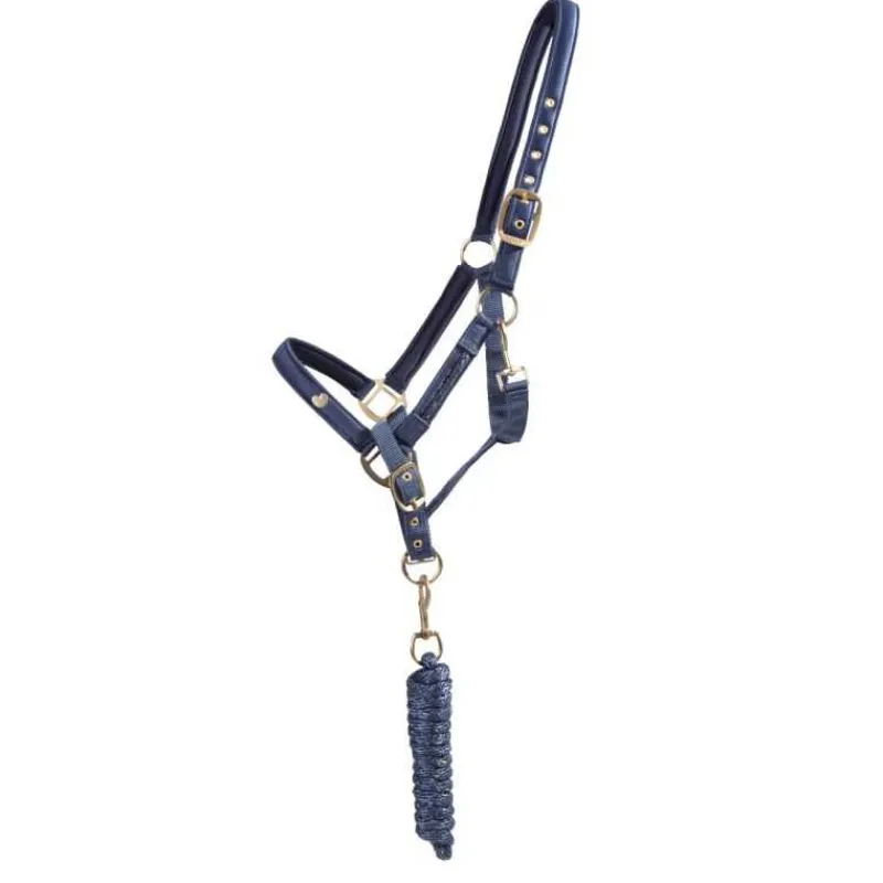 QHP Ensemble licol et longe Lily> Licol Nylon|Licol + Longe