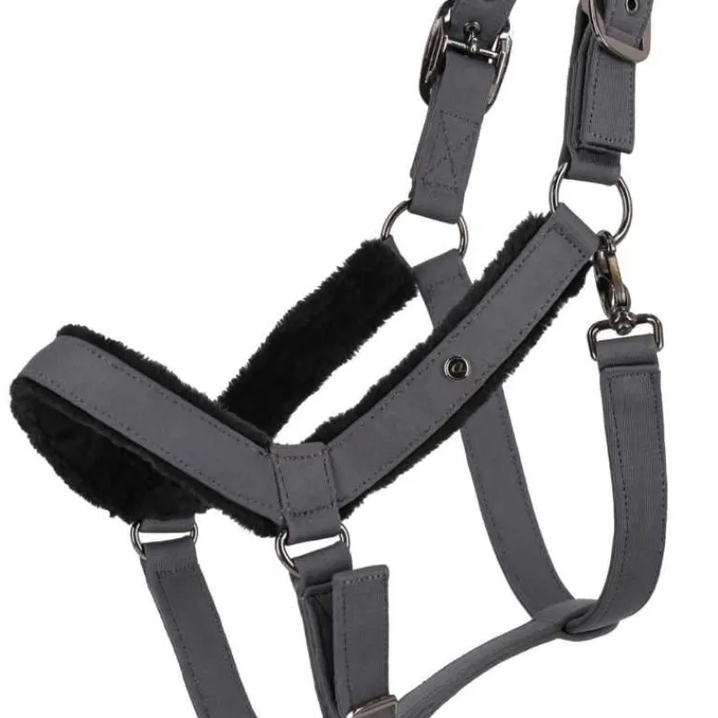 QHP Ensemble licol et longe Sensisoft> Licol + Longe|Licol Nylon