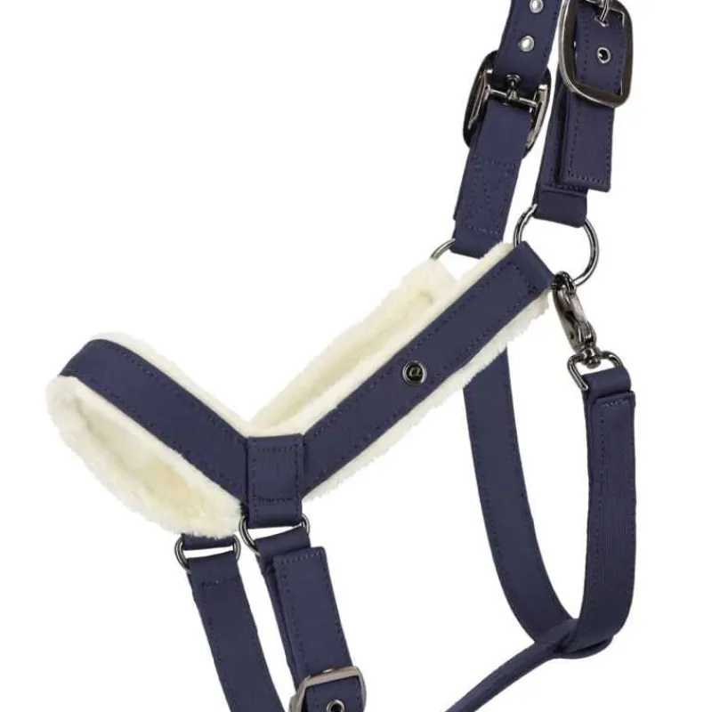 QHP Ensemble licol et longe Sensisoft> Licol + Longe|Licol Nylon