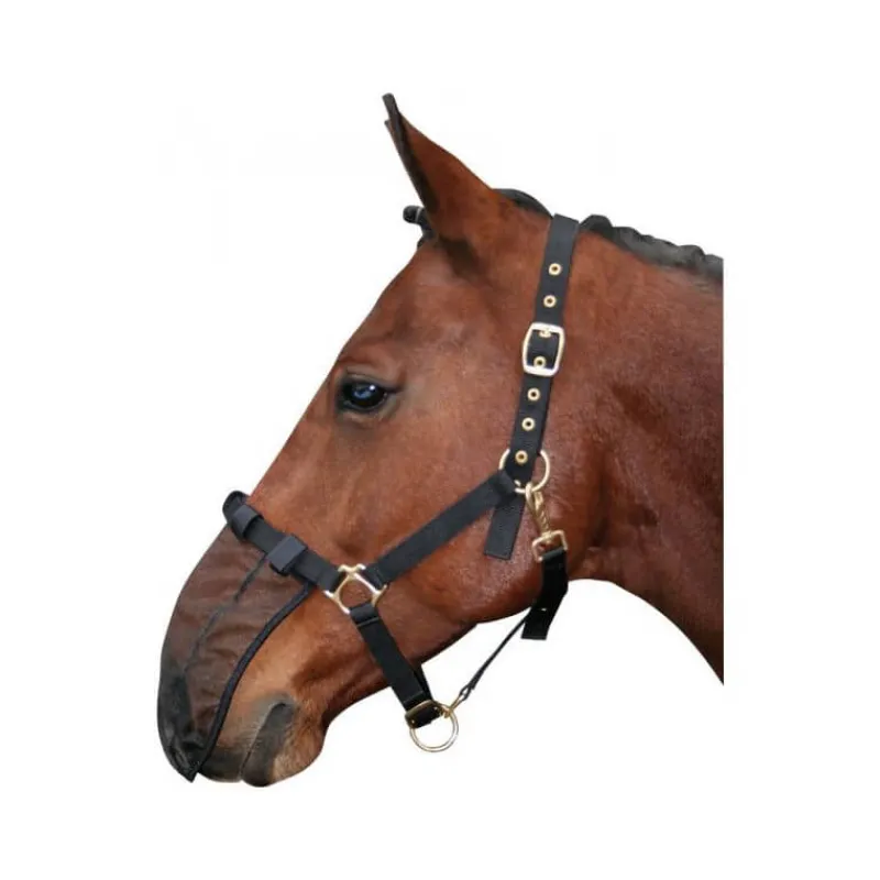 HARRY HORSE Filet pour naseaux Harry's Horse> Masque Anti-Mouches|Bonnet