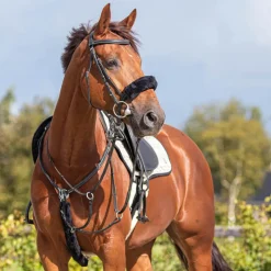 QHP Fourreau de martingale> Collier De Chasse|Martingale