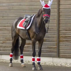 QHP Fourreaux de Noël avec clochettes><noscript><img data-lazyloaded=