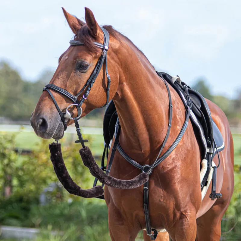QHP Fourreaux de rênes> Protections Et Fourreaux