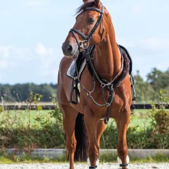 QHP Fourreaux de rênes> Protections Et Fourreaux