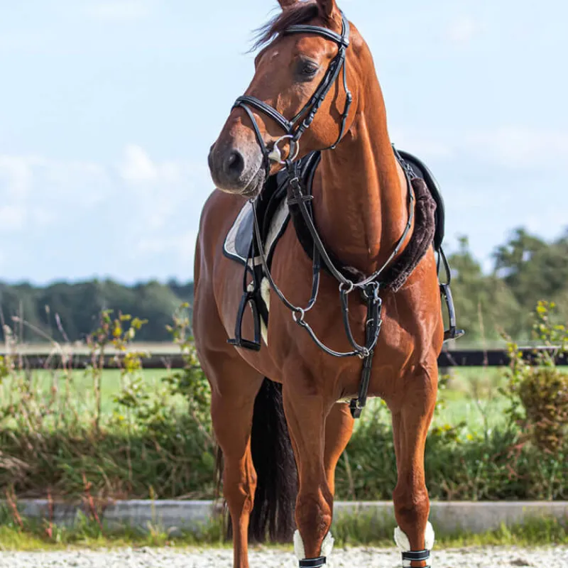QHP Fourreaux de rênes> Protections Et Fourreaux