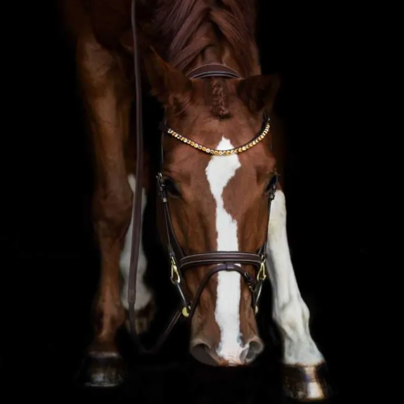 HFI Frontal avec Strass Master> Frontal|Bridon