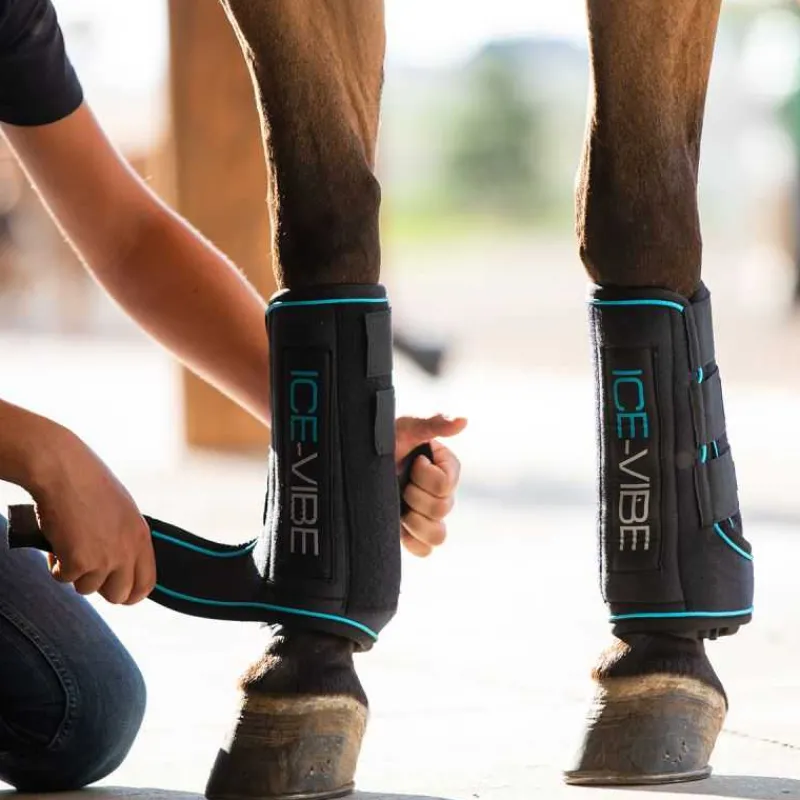 HORSEWARE Guêtres de soin Ice-Vibe> Guêtres De Soin|Guêtres De Soin