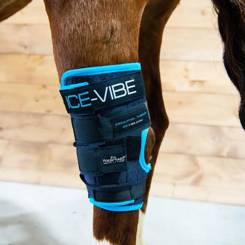 HORSEWARE Guêtres de soin pour jarrets Ice-Vibe> Guêtres De Soin|Protection De Jarret