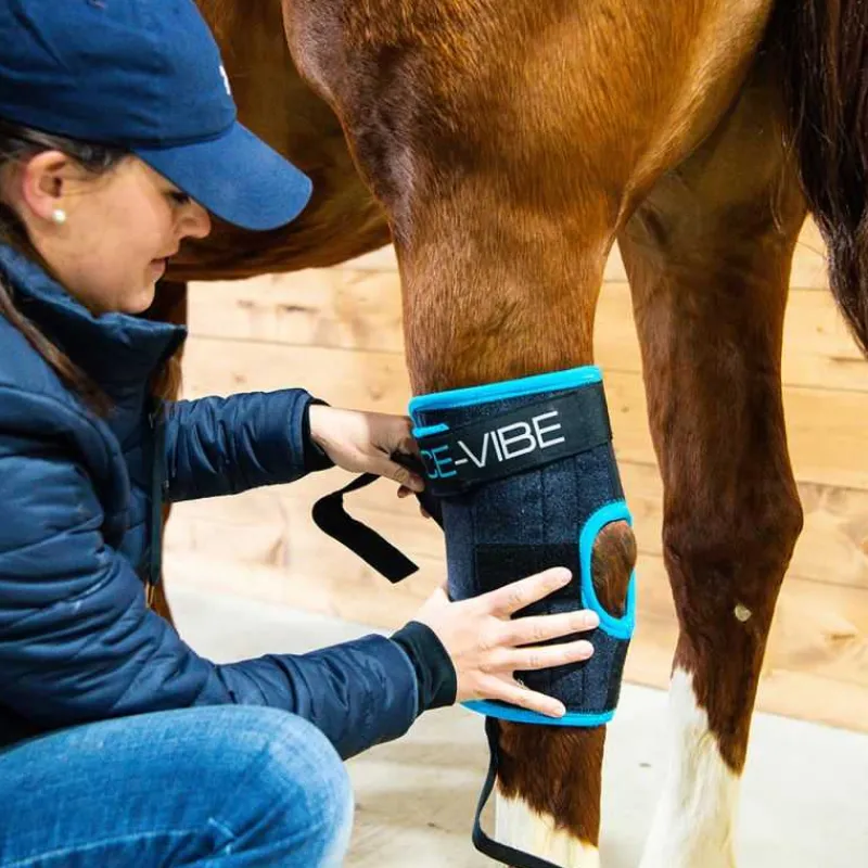 HORSEWARE Guêtres de soin pour jarrets Ice-Vibe> Guêtres De Soin|Protection De Jarret