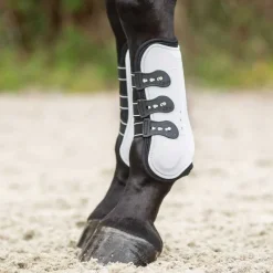 QHP Guêtres ouvertes Champion><noscript><img data-lazyloaded=