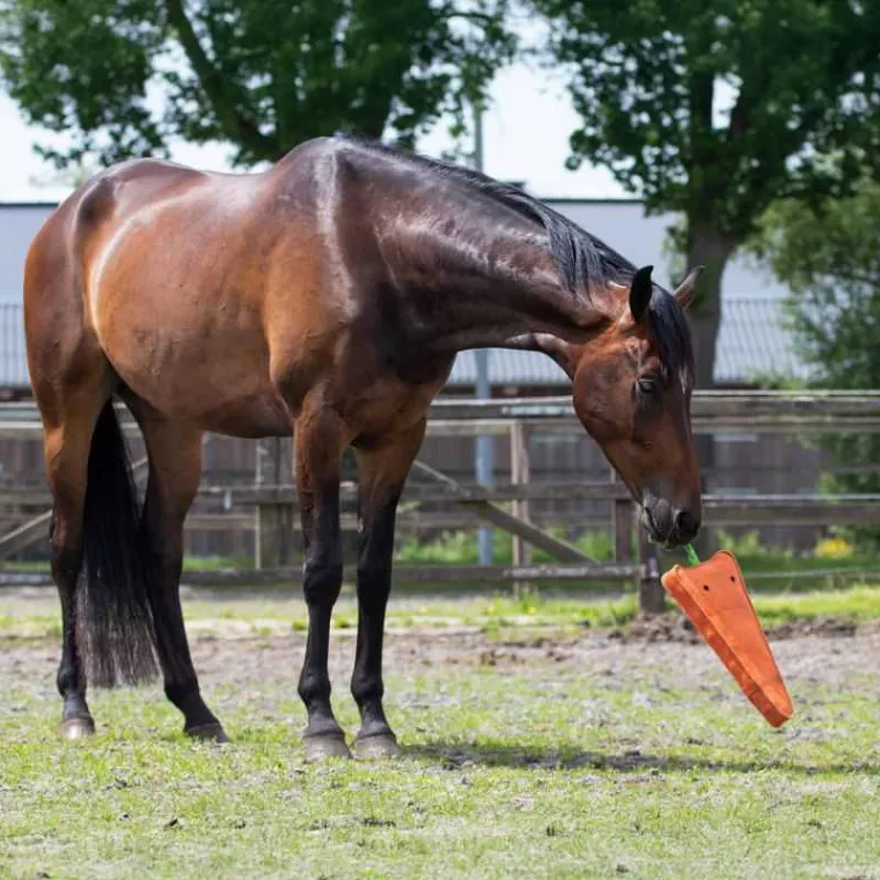 QHP Jouet pour cheval XL> Jouets Pour Chevaux