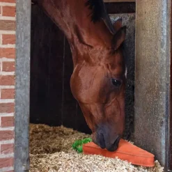 QHP Jouet pour cheval XL><noscript><img data-lazyloaded=