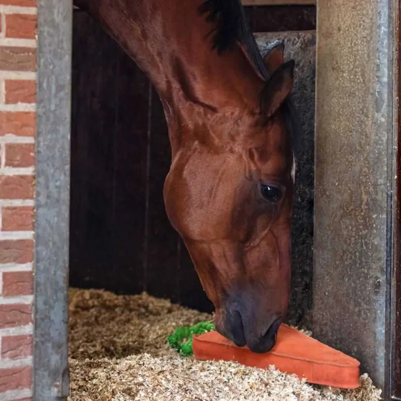 QHP Jouet pour cheval XL> Jouets Pour Chevaux