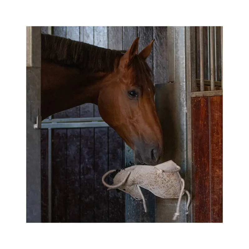 QHP Jouet pour chevaux> Jouets Pour Chevaux