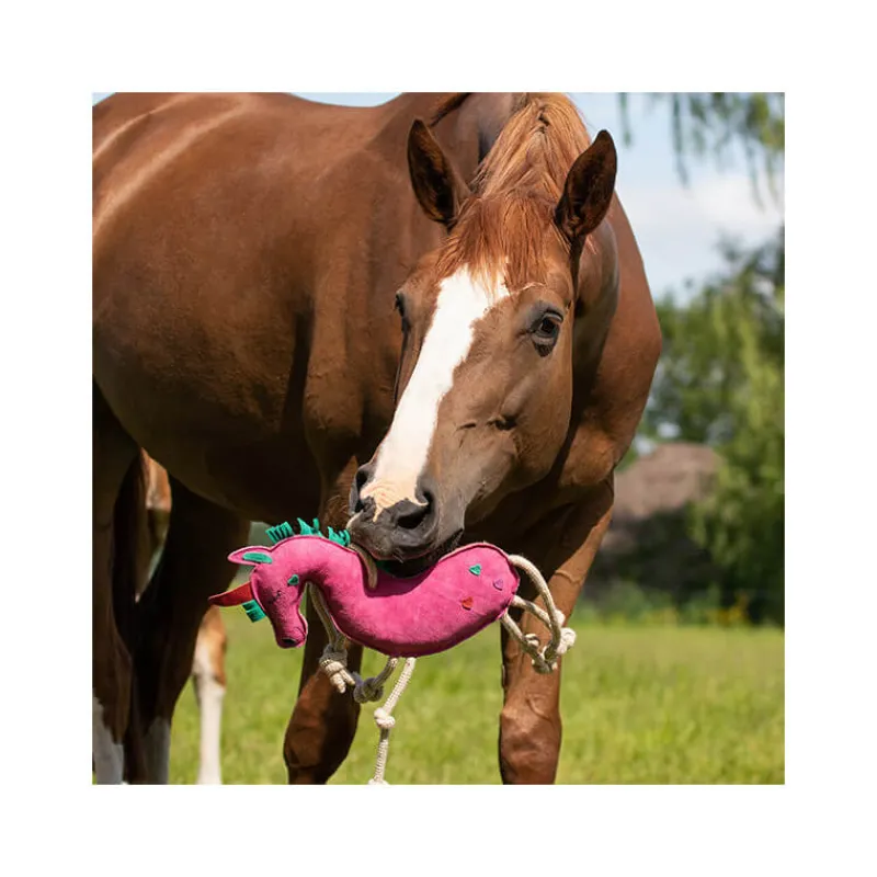 QHP Jouet pour chevaux> Jouets Pour Chevaux