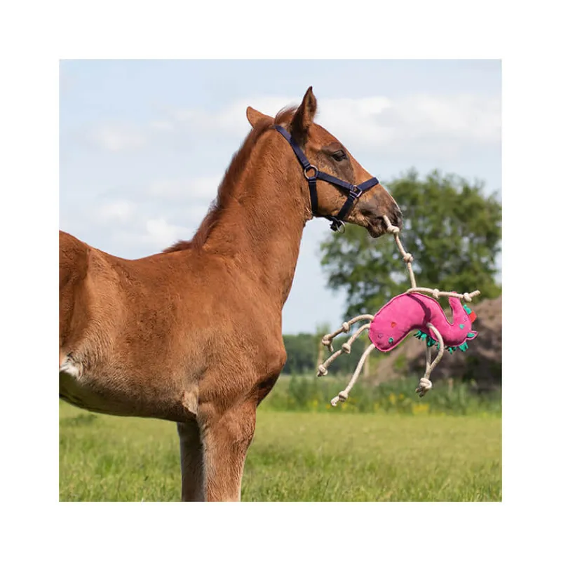 QHP Jouet pour chevaux> Jouets Pour Chevaux