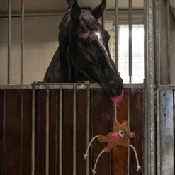QHP Jouets pour chevaux Saint Valentin><noscript><img data-lazyloaded=
