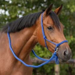 QHP Licol corde avec rênes> Licol Nylon|Licol + Longe