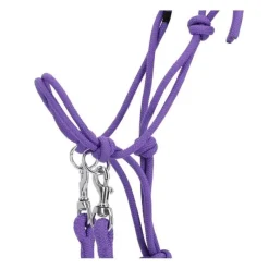 Q-ESSENTIALS Licol corde Color avec rênes><noscript><img data-lazyloaded=