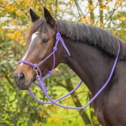 Q-ESSENTIALS Licol corde Color avec rênes><noscript><img data-lazyloaded=