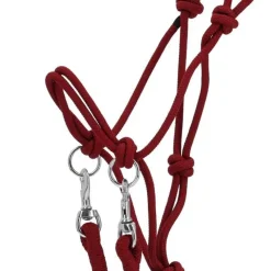Q-ESSENTIALS Licol corde Color avec rênes><noscript><img data-lazyloaded=