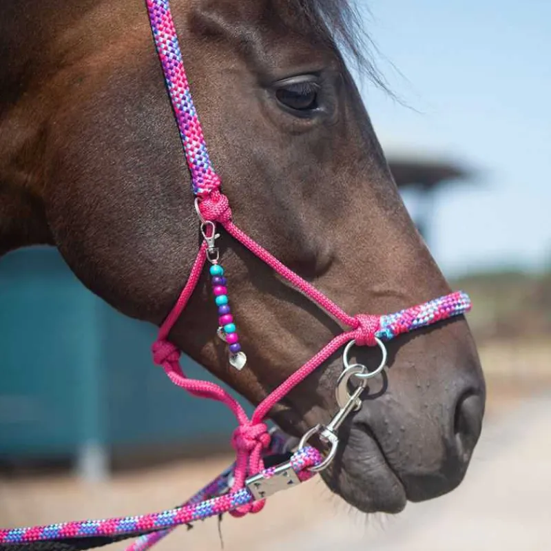 QHP Licol corde et cordelette Liberty> Licol Nylon|Licol + Longe