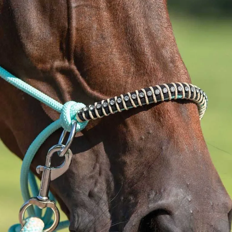 QHP Licol corde et cordelette Liberty> Licol Nylon|Licol + Longe