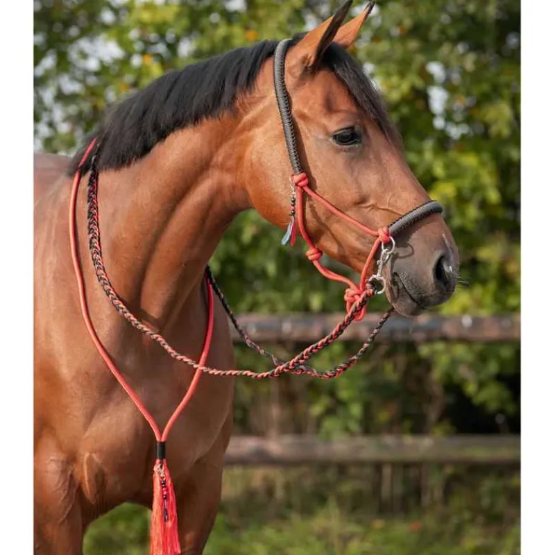 QHP Licol corde et cordelette Liberty> Licol Nylon|Licol + Longe