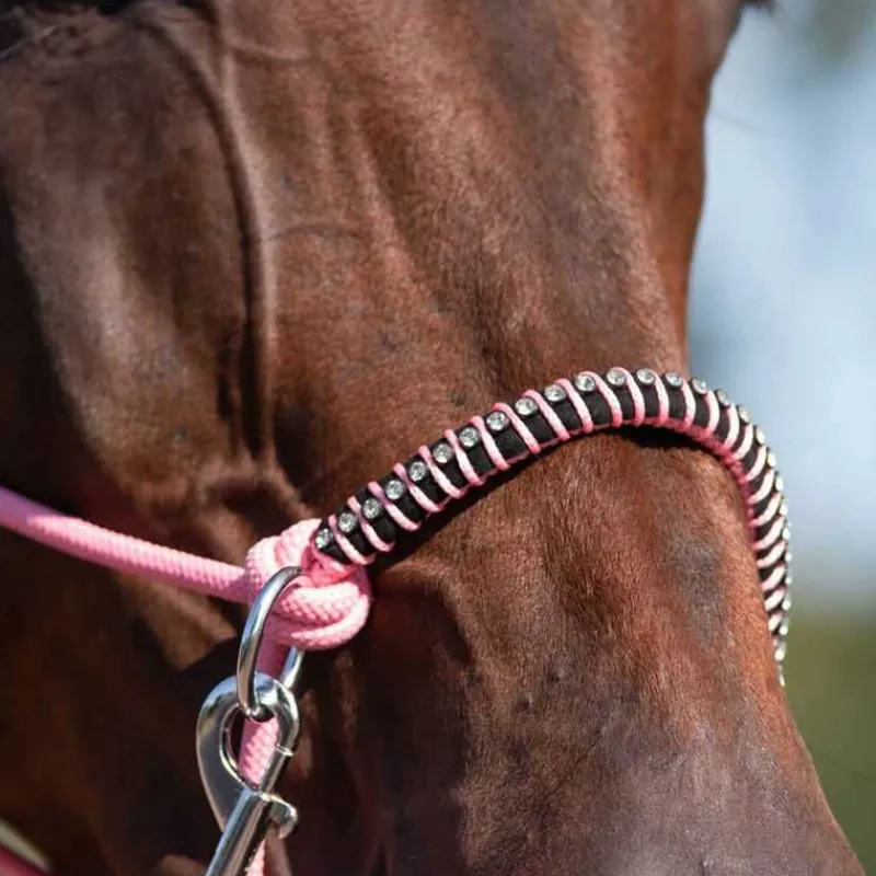 QHP Licol corde et cordelette Liberty> Licol Nylon|Licol + Longe