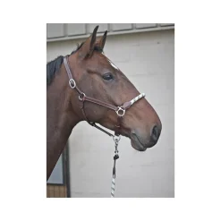 STATIONATA Licol cuir avec muserolle corde><noscript><img data-lazyloaded=