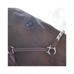 STATIONATA Licol cuir avec muserolle corde><noscript><img data-lazyloaded=