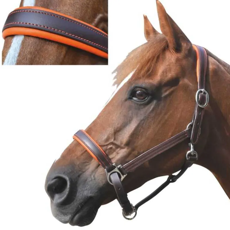 CANTER Licol cuir doublé> Licol En Cuir