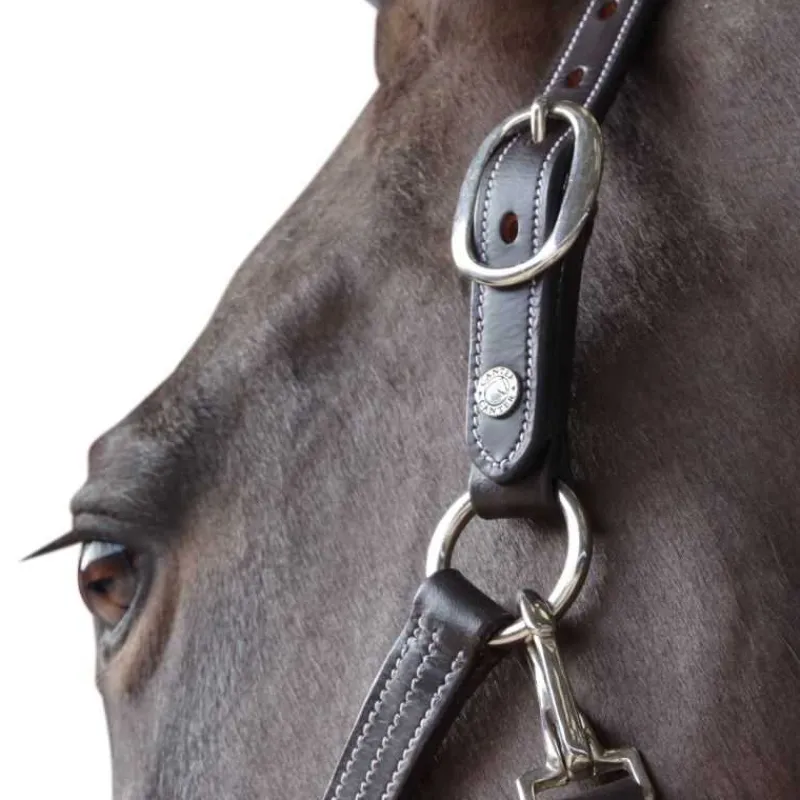 CANTER Licol cuir doublé> Licol En Cuir