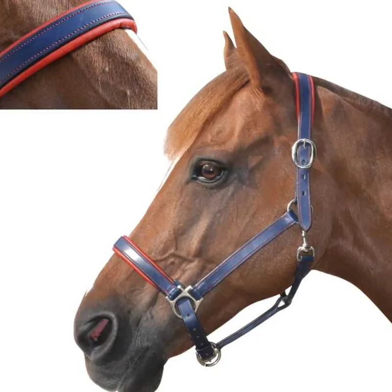 CANTER Licol cuir doublé> Licol En Cuir