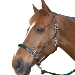 CANTER Licol cuir et corde><noscript><img data-lazyloaded=