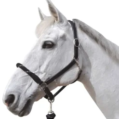 CANTER Licol cuir et corde><noscript><img data-lazyloaded=