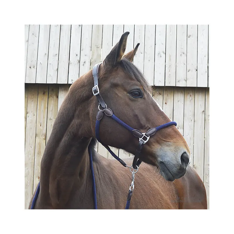 STATIONATA Licol cuir et corde> Licol Nylon|Licol En Cuir