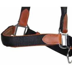 T de T Licol cuir et sangle><noscript><img data-lazyloaded=