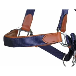 T de T Licol cuir et sangle><noscript><img data-lazyloaded=