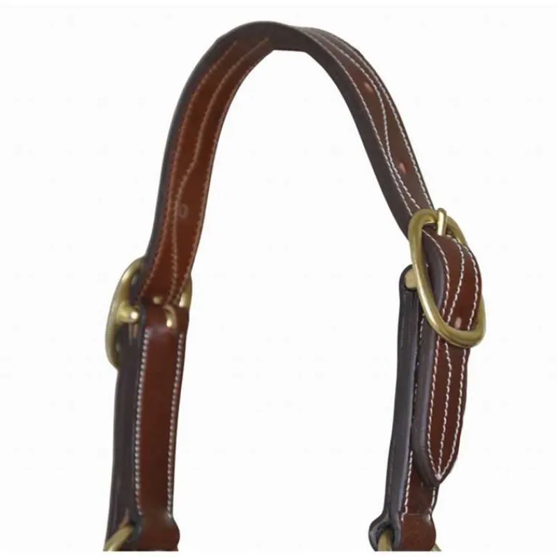 T de T Licol cuir triple couture> Licol En Cuir