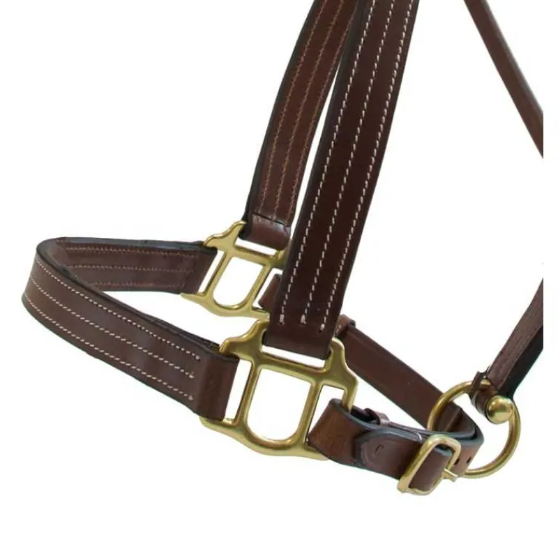 T de T Licol cuir triple couture> Licol En Cuir