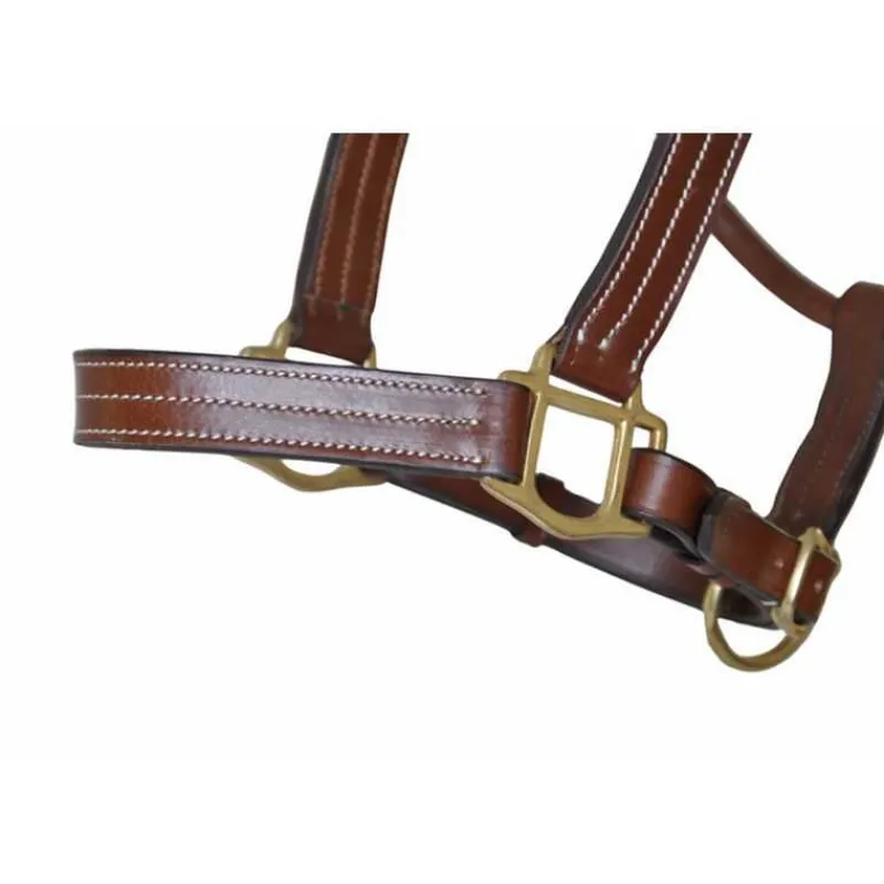 T de T Licol cuir triple couture> Licol En Cuir