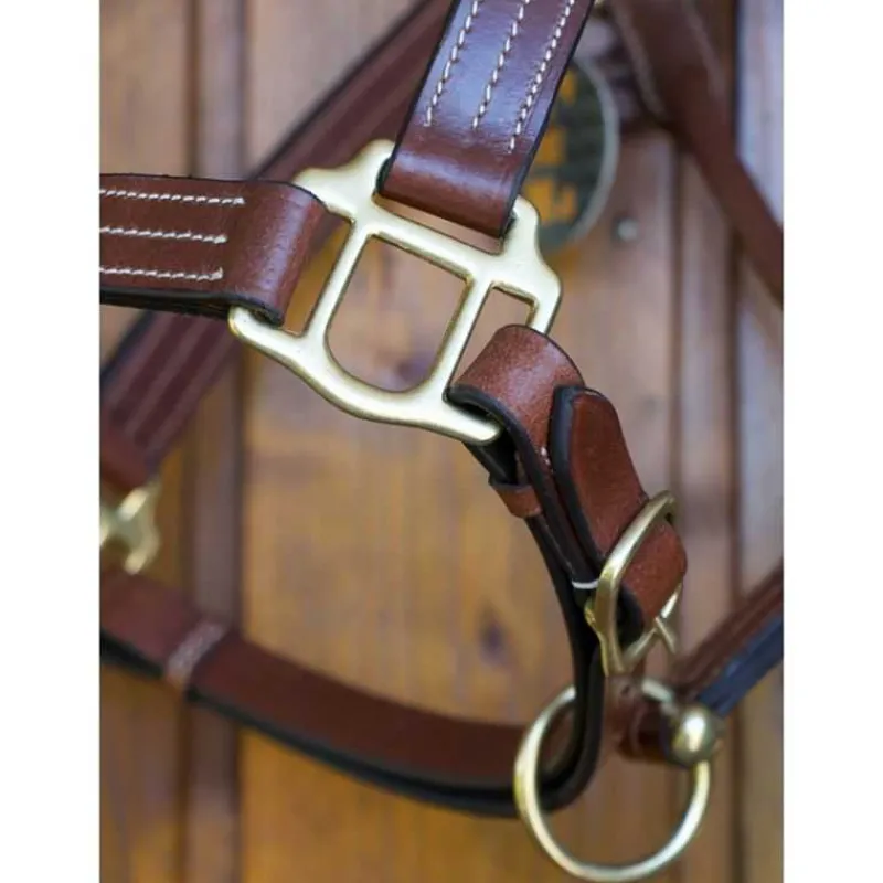 T de T Licol cuir triple couture> Licol En Cuir