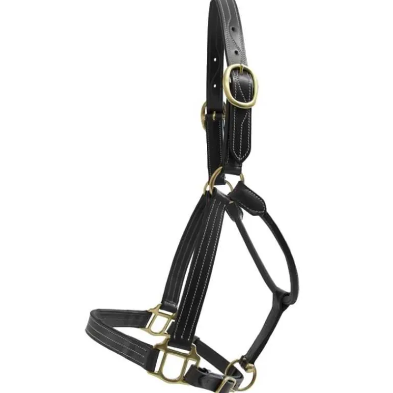 T de T Licol cuir triple couture> Licol En Cuir