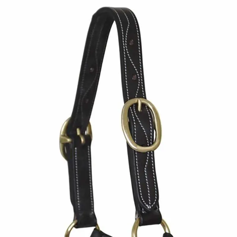T de T Licol cuir triple couture> Licol En Cuir