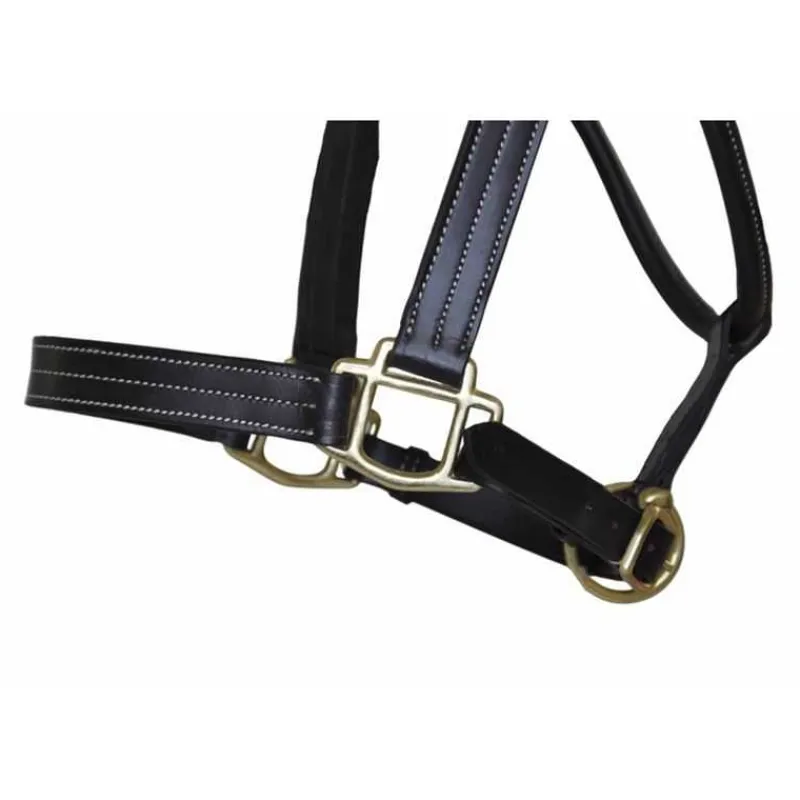 T de T Licol cuir triple couture> Licol En Cuir
